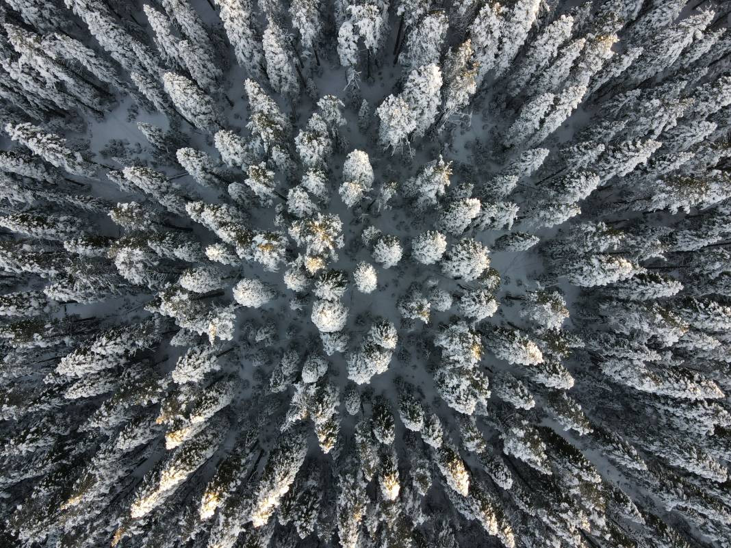 Ilgaz Dağı'nda kartpostallık görüntüler - Resim: 2